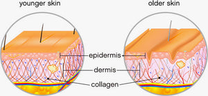 Skinade absorption diagram – liquid vs tablet bioavailability